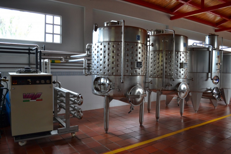 cave-AUPS-min_wine_production_cantine_winery_drink_alcohol_vine_beverage-902036